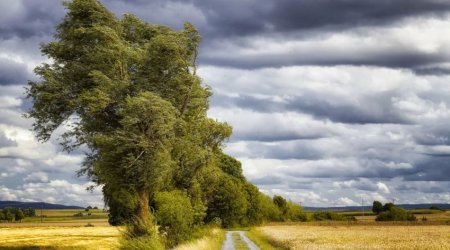 В регионах Азербайджана объявлены желтый и оранжевый уровни погодной опасности