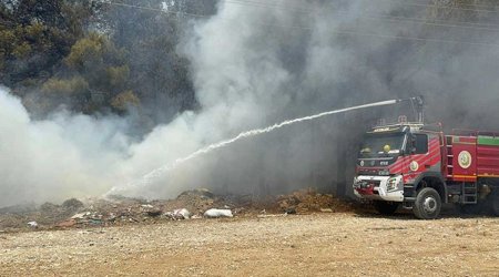 Antalyada meşə yanğını başlayıb