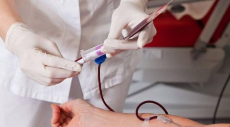 Əmanətlərin Sığortalanması Fondu qanvermə aksiyası keçirib