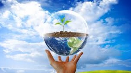 Azərbaycan təbiətin mühafizəsinə ayrılan xərcləri artırıb