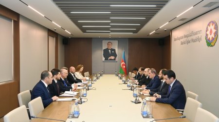 Azerbaijani, Israeli FMs talks about Baku-Yerevan normalization process