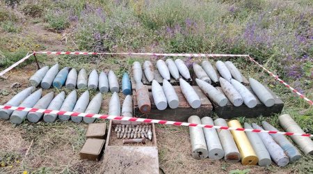 MoD: Over 1,184 hectares of land cleared of mines in Azerbaijan in July