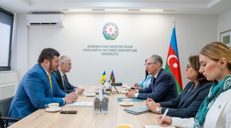 Mukhtar Babayev discusses preparations for COP29 with Ukrainian Ambassador