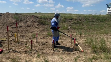 367 mines neutralized in Azerbaijan’s liberated territories last week