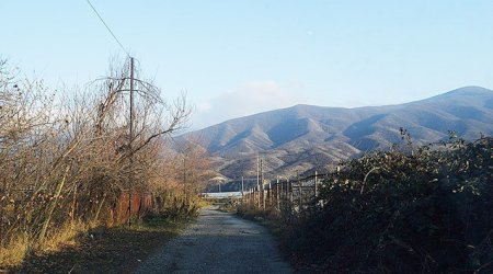 Xocalıda at oğurlayan 3 nəfər həbs edilib