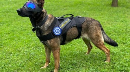 EU prepares female sapper unit with dogs for Ukraine