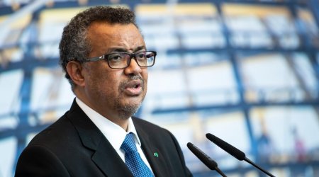 WHO Director-General urges humanitarian pauses for Gaza vaccination campaign