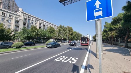 На Тбилисском проспекте будет организована специальная полоса движения