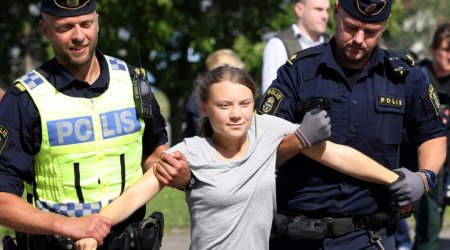 Danish police detain activist Greta Thunberg during Gaza war protest