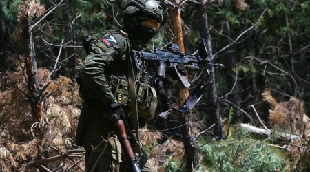 Russian army takes control of 10 settlements in Kursk