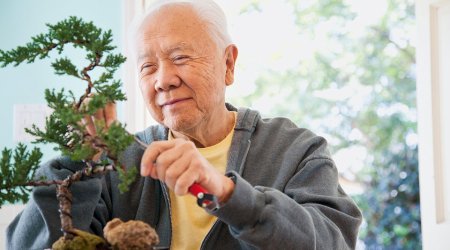 Yaponiyada yaşı 100 yuxarı olanların sayı rekord həddə çatıb