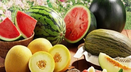 Səkkiz ayda kənd məhsullarının həcmində 0,8% artım olub