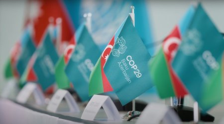 Azerbaijan to prepare transparency report before COP29