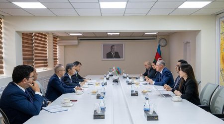 Азербайджан и Япония обсудили перспективы двустороннего сотрудничества