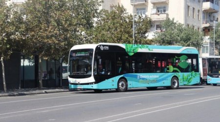 350 electric buses to operate in Baku during COP29