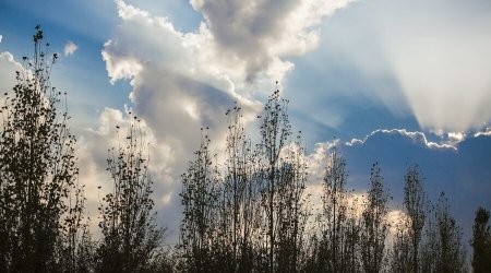 Прогноз погоды на завтра