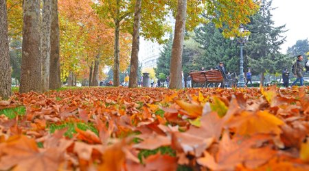 В Азербайджане наступила астрономическая осень
