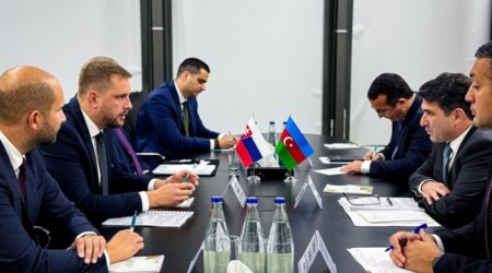 Slovakia, Azerbaijan mull issues of energy cooperation