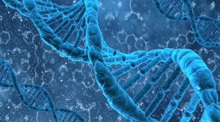Ученые определили геологические условия зарождения жизни на Земле