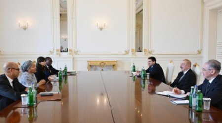 Ильхам Алиев принял Амину Мохаммед