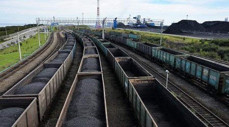 Türkiye interested in engaging Russian companies in coal, gas projects