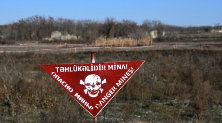 205 mines neutralized in Azerbaijan’s liberated lands last week