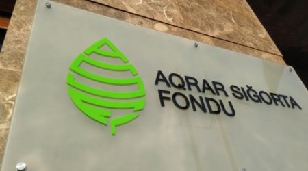 İndiyədək fermerlərə 10 milyon manatdan çox sığorta ödənilib