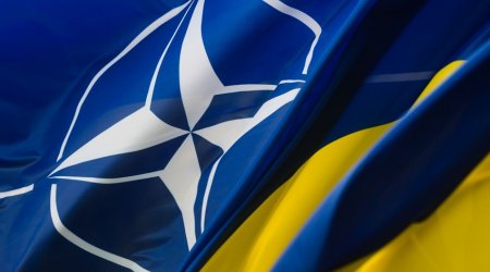 Washington, Berlin slow-walking Ukraine’s bid for NATO invitation
