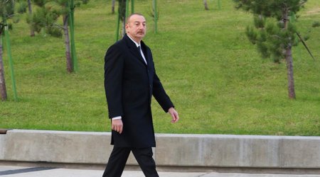 Prezident parkın açılışında iştirak edib