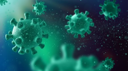 Britaniyada meymunçiçəyinin yeni ştamı aşkarlanıb