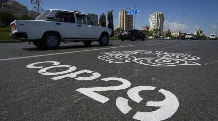 Питание на портале COP29 и в торговых точках будет платным