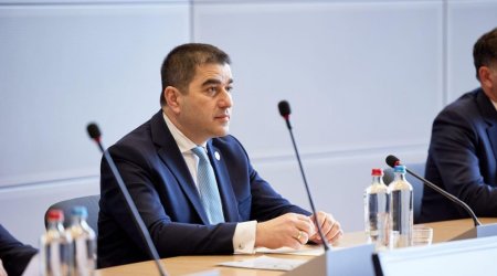 Georgian parliament speaker: Hosting COP29 to strengthen Azerbaijan's position in int'l arena