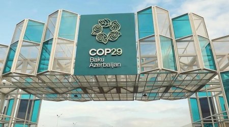 В рамках COP29 в Баку Узбекистан представляет национальный павильон