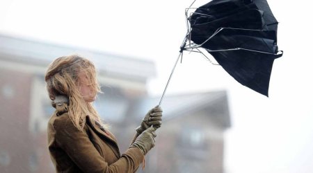 В Баку и на Абшероне в связи с ветреной погодой объявлено желтое предупреждение