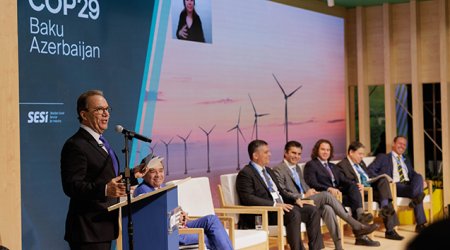 COP29-un Yaşıl Zonasında panel sessiyası baş tutub