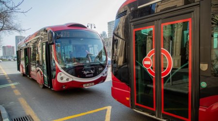 В Баку возобновят работу нескольких автобусных маршрутов