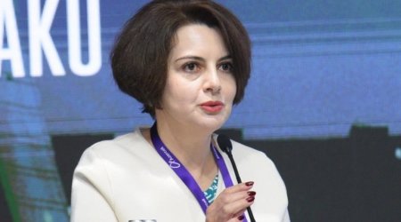 Azerbaijani official: EU countries will need more green energy imports