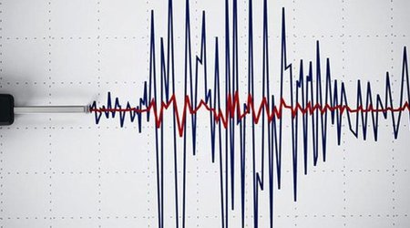 В Турции произошло землетрясение магнитудой 5,1