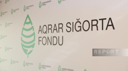 Aqrar Sığorta Fondu 10 aylıq nəticələri açıqlayıb