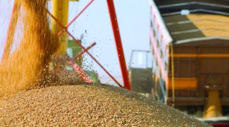 KTZ reveals volume of grain shipped to Azerbaijan