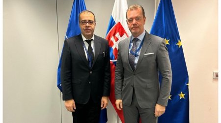 Azerbaijan, Slovakia discuss key aspects of cooperation with NATO