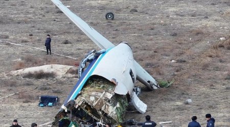 Times: Video of AZAL plane crash reveals possible missile strike