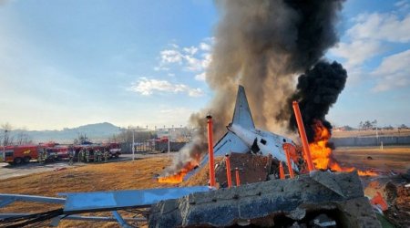 Cənubi Koreya polisi təyyarə qəzası ilə bağlı Muan aeroportunda axtarış aparıb