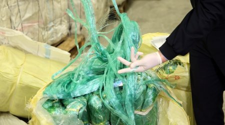 В Баку изъята крупная партия запрещенных рыболовных сетей из Китая