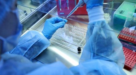 В Китае произошла вспышка метапневмовируса человека