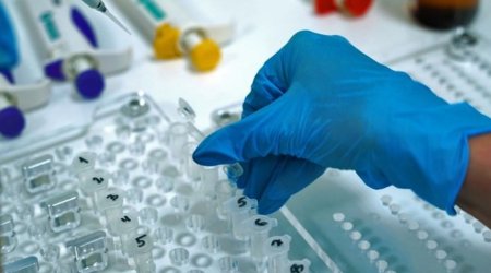 В Кыргызстане выявлено два случая заражения метапневмовирусом