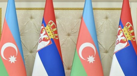 Обренович: Азербайджан является важным партнером в обеспечении энергобезопасности Сербии