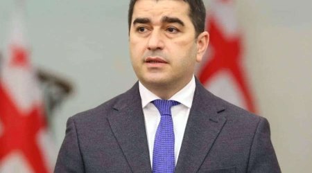 Gürcüstan Fransanı yeni seçkilər keçirməyə çağırıb