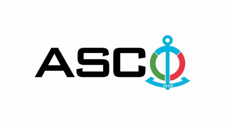 Пароходство: Задержанные в Африке суда не принадлежат ASCO