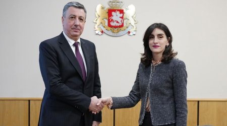 Глава МИД Грузии Бочоришвили посетит Азербайджан